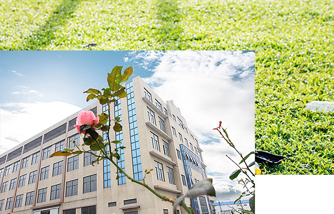 東莞市松正五金制品有限公司